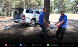 Buca Belediyesi’nden can dostları için hayati hamle