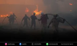 Köylülerden GDZ Elektrik’e tazminat hamlesi!