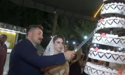 Düğün pastası 60 davetliyi hastanelik etti