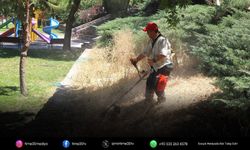 Menderes Belediyesi’nden Ot Temizliği