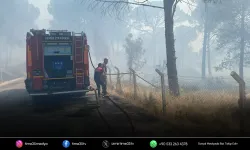 Bergama’da orman yangınına müdahale ediliyor