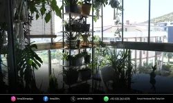 Kuşadası’nın en güzel bahçesi ve balkonu belli oldu