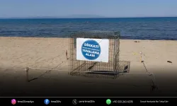 Pamucak Sahili’nde sürpriz misafir