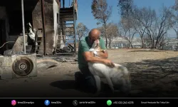 İzmir'de yangından kurtulan köpek sahiplendirildi