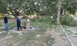Piknik alanında korkutan kaza: 11 yaralı