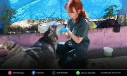 Can dostlar için seferberlik: Üsküdar Belediyesi’nden Menderes’e destek
