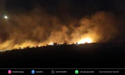 Aliağa’da otluk alanda çıkan yangın söndürüldü