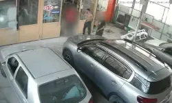Komşusunun köpeğini öldüren şahıs tutuklandı