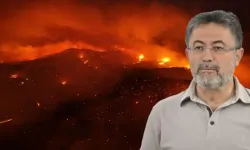 Bakan Yumaklı'dan Gelibolu yangını açıklaması
