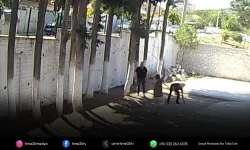 CHP'li Belediye Başkanı taş döşemek istemeyen zabıtaları sopayla dövdü