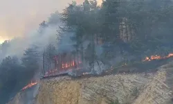 Bolu'da orman yangını başladı