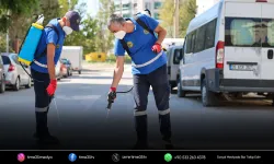 Buca’da haşere ve sineklere karşı 24 saat mücadele