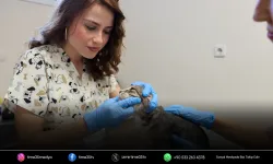 Buca’daki can dostlar sizi bekliyor