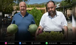 Buca Kırklar’da Kavun ve İncir Festivali çoşkusu başladı