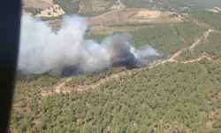 Çanakkale’de korkutan yangın: Rüzgar alevleri büyütüyor