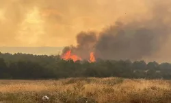 Çanakkale'de orman yangını