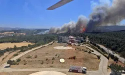 Çanakkale'de tarım arazisinde başlayan yangın ormanlık alana sıçradı