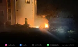 Dikili'de otluk alandaki yangın evlere sıçradı