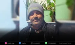 Domuz sürüsüne çarpan motosiklet sürücüsü yaşamını yitirdi