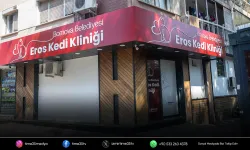 Bornova’da Eros kedi kliniği açılıyor