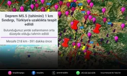 Hatalı deprem bildirimi İzmir’de paniğe yol açtı!