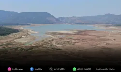 İzmir'deki kuraklık Türkiye'nin kışlık tarımını tehdit ediyor