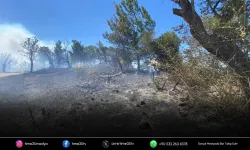 İzmir'de ormanlık alanda yangın çıktı