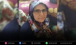 Sahipsiz köpeklerden kaçarken aracın altında kaldı