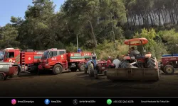 Orman yangınının sebebi yine 'Kaynak makinesi'