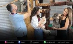 Konak’ın patili dostları ömürlük yuvalarını bekliyor