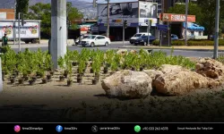 İzmir’de susuz peyzajla kavşaklar güzelleşiyor