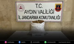 Motosikletli incir hırsızı jandarmadan kaçamadı