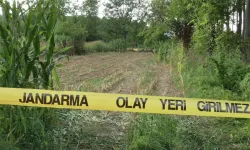 Mısır tarlasında insan kafatası bulundu