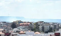 Çanakkale'de orman yangını: 2 okul tahliye edildi
