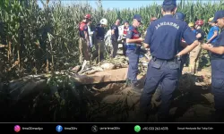İzmir'de eğitim uçağı düştü: 1 pilot hayatını kaybetti