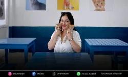 Kuşadası’na yeni kedi kısırlaştırma merkezi