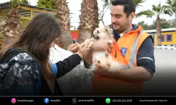 Kuşadası’nda 195 sokak hayvanı sıcak yuvaya kavuştu