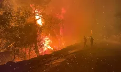Muğla'da ekipler 3 bölgede alevlerle mücadele ediyor