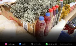 Efes Tarlası Yaşam Köyü’nde Üretici Pazarı başlıyor!