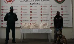 Kapıkule'de kamyonetten 36 kilo kokain çıktı