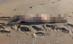 Sahilde çıplak erkek cesedi bulundu