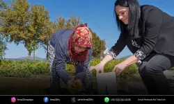 İzmir Büyükşehir’den toprak seferberliği