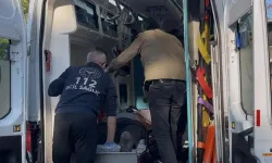 Kestane kavgası kana bulandı: 3 kişi vuruldu