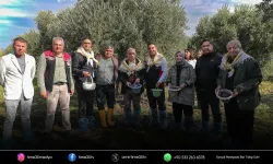Zeytin hasadı Aliağa’da şenliğe dönüştü