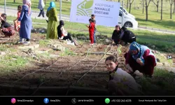 Mahalle bostanlarında kış dikimleri başladı