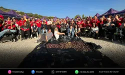 Engelli yurttaşlar ve yakınları zeytin hasadında buluştu