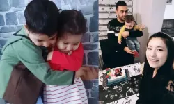 Böcek ailesinin kesin ölüm nedeni açıklandı