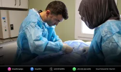 Buca’da 3 bin 54 sokak kedisi kısırlaştırıldı