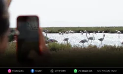 Doğa ve lezzet tutkunları bu turları çok sevecek