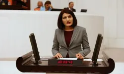 Eski HDP milletvekili Güzel'e 8 yıl 9 ay hapis cezası